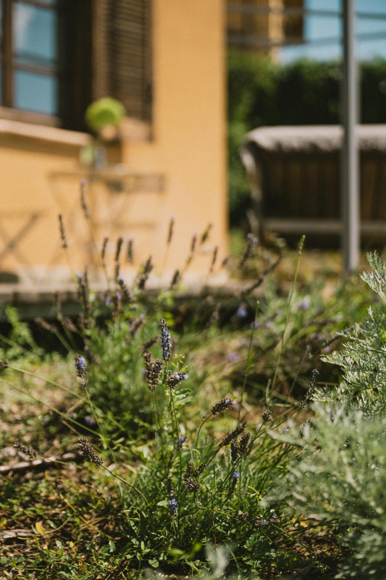 Casa Kiko Pecetto Bed and Breakfast Εξωτερικό φωτογραφία